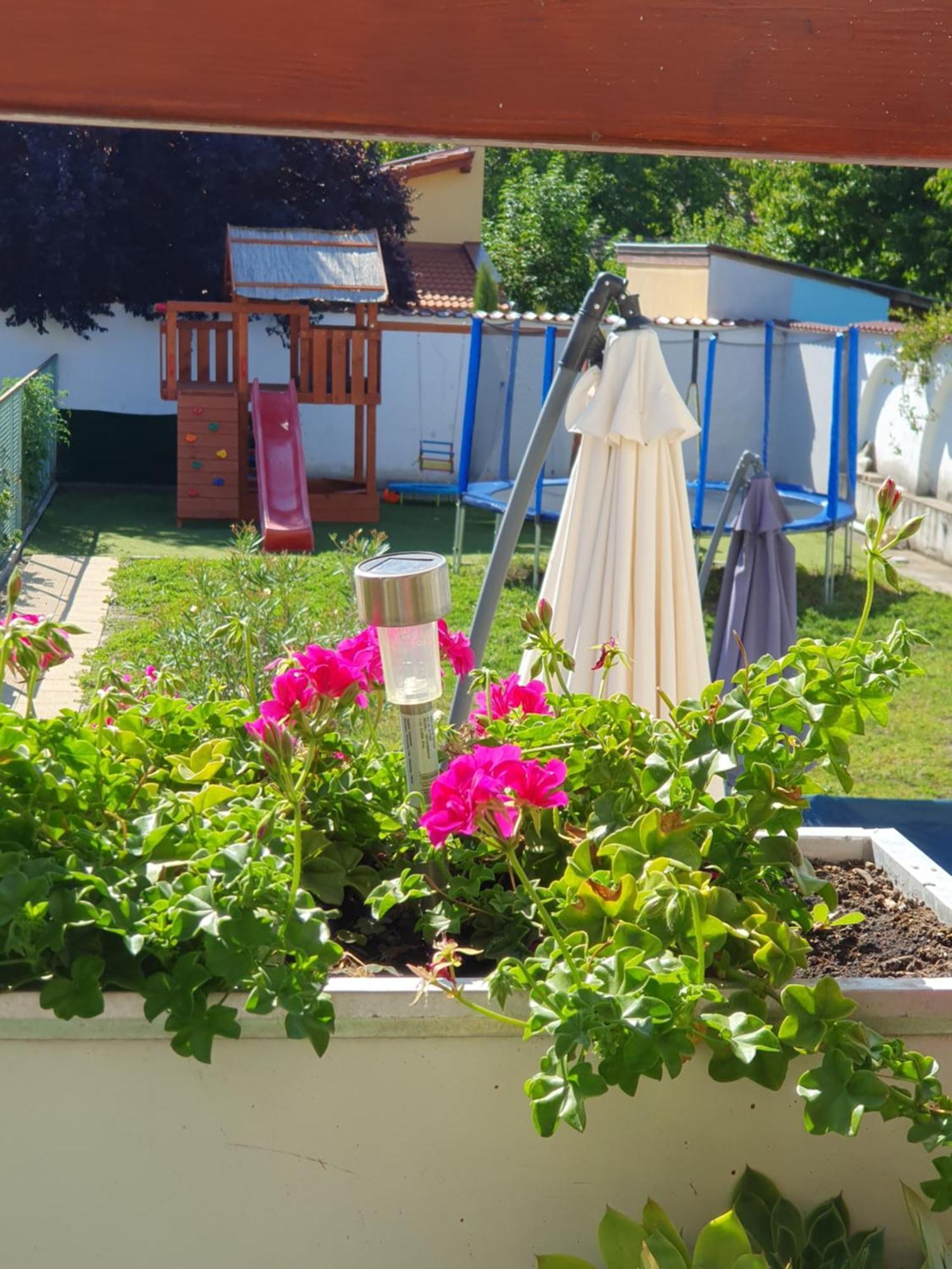 Bella Apartman Szeged Extérieur photo